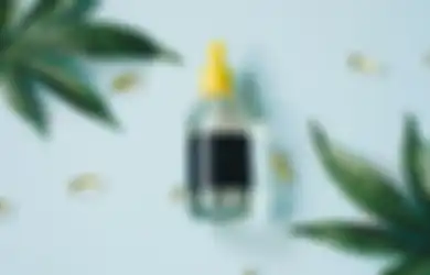 Aneka Tips Harian, Pantas Saja Bikin Seisi Rumah Kegirangan, Ternyata Ini Manfaat Semprotkan Minyak Kayu Putih ke Atas Kasur