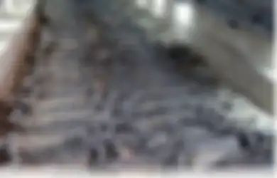 Tak Hanya para Selir yang Dikorbankan, Makhluk-makhluk Ini Juga Harus Kehilangan Nyawa Demi Tuannya, Intip Saja Makam Adipati China Kuno Ini yang Isinya Tak Terduga