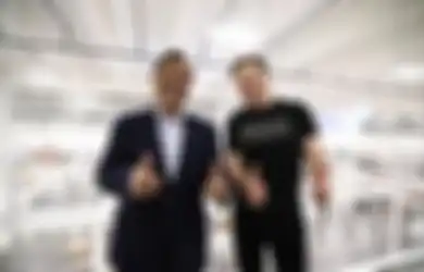 Menko Luhut  Temui Elon Musk dan Bahas Rencana Pertemuan dengan Jokowi