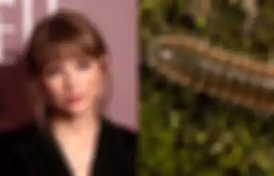 Ada Nama Spesies Baru yang Terinspirasi Dari Nama Taylor Swift!