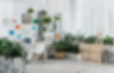 Tanaman Mati setelah Dipindahkan ke Dalam Rumah? Ketahui Dulu 5 Karakter dan Jenis yang Cocok