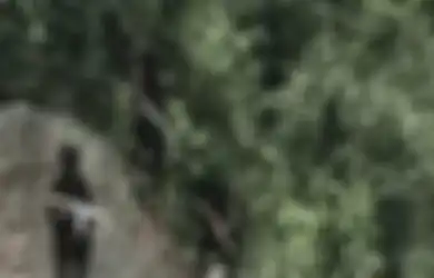 Setelah 2 Anggota KKB Papua Tewas dalam Baku Tembak, Beredar Video Viral Kelompok Separatis di Kawasan Hutan, Berlarian Sambil Tenteng Senjata