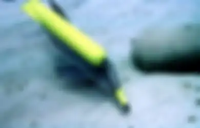 Konon Dikirim untuk Melingdungi Laut Hitam, Inilah Penampakan Pasukan Lumba-lumba Militer Rusia, Konon Kemampuannya Bisa Bikin Musuh Keteteran