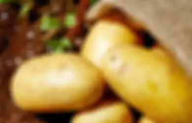 Murah Meriah! Kulit Mulus dari Wajah Sampai Kaki Bak Artis Korea, Modalnya Cuma dengan Satu Buah Kentang
