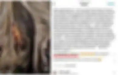Demi Konten Bule Ini Rela Bugil di Pohon Keramat, Bakal di Hukum?