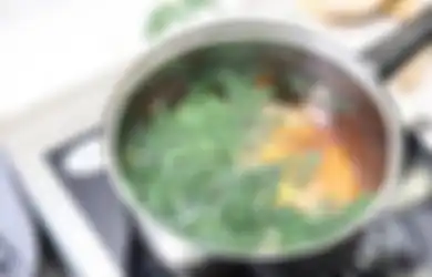 Jadi Obat Kuat Alami Untuk Para Suami, Cukup Rebur 5 Lembar Daun Kelor Lalu Minum Airnya