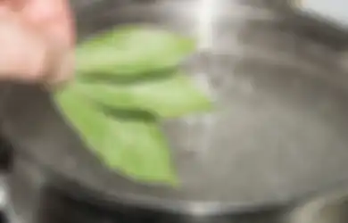 Jangan Sampai Kecolongan, Orang dengan Kondisi Ini Ternyata Dilarang Keras Minum Air Rebusan Daun Salam, Petaka yang Mengintai Tak Main-main