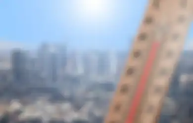 Cuaca Panas Bikin Gak Nyaman, Baru Terbongkar Begini Cara agar Rumah Tetap Sejuk, Yuk Praktikkan!