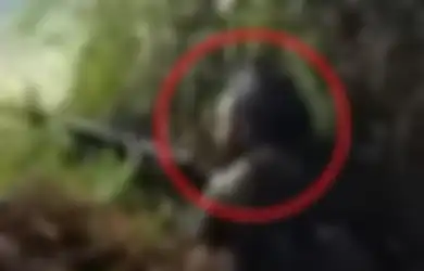 Kekuatan Asli KKB Papua Terungkap, Sniper Kelompok Separatis Lari Pontang-panting usai Lepaskan Tembakan, Tak Kuasa Hadapi Aparat TNI-Polri