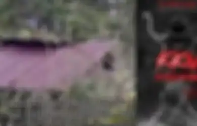 Lewati Hutan Karet Angker dengan Jalan Setapak, Desa yang Hilang Ini Disebut-sebut Lokasi Asli KKN di Desa Penari, Suasananya Bikin Bulu Kuduk Merinding