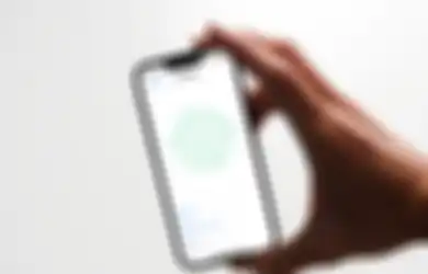 Pelaku Bisnis Wajib Tahu, Ini Beda WhatsApp Biasa dan Penjual Online, Miliki Banyak Fitur yang Membantu Usahamu