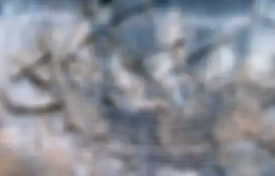 'Jejaknya' Terekam dalam Darah Leluhur Orang Madagaskar, Kisah Perempuan Kalimantan Ini Terungkap Lewat 'Bilik Perempuan', Benarkah Jadi Gundik?