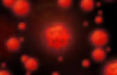 Mirip Nama Orang, Muncul Virus 'Hendra' yang Menular Lewat Kuda!
