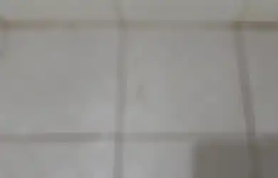 Muncul Banyak Cacing di Kamar Mandi? Ternyata Sederet Kebiasaan Inilah yang Jadi Penyebabnya