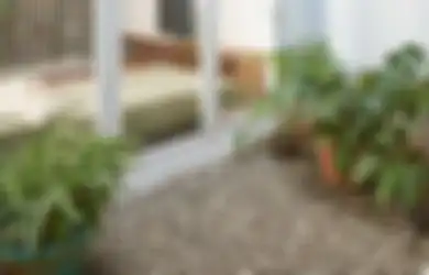 Green Design untuk Rumah di Lahan Terbatas, Wujudkan dengan 8 Hal Ini!