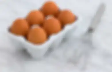 Tak Perlu Mahal-mahal Beli Kulkas, Ternyata Begini Cara Mudah Simpan Telur Agar Awet Berbulan-bulan, Simak Caranya yang Mudah Banget!