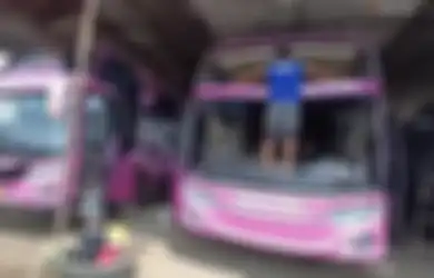 Pantas Alami Kecelakaan Maut di Ciamis, Bus Pandawa Ternyata Cuma Kendaraan Bekas dari Perusahaan Ini, Foto Netizen Beri Bukti