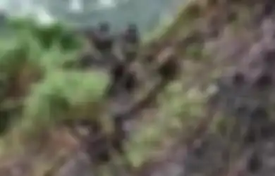Pakai Jalur 'Gaib' ke Negeri Tetangga, Para Anggota KKB Papua Beraksi Layaknya Tarzan di Hutan Belantara, Tim Keamanan Cukup Lakukan Hal Ini untuk Lenyapkan Pergerakan Mereka