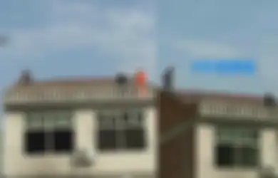 Ogah Dicerai Suami, Wanita Mengamuk Panjat Atap Rumah Bertingkat, Nekat Lempari Petugas yang Datang Menolong dengan Genting Karena Lakukan Hal Ini