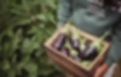 Sayang Banget Baru Tahu Sekarang, Cuma Rutin Makan Terong Rebus Setiap Hari, Ternyata Bisa Jauh dari Penyakit Mematikan yang Diidap oleh Banyak Orang Ini