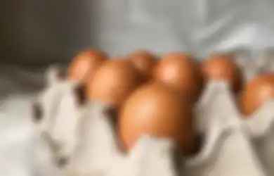 Tips Hidup: Bahaya! Jangan Pernah Coba Simpan Telur di Dalam Kulkas Jika Masih Sayang dengan Keluarga, Begini Alasannya