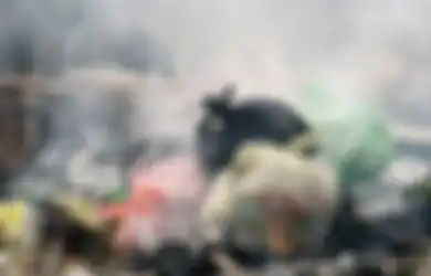 Ketahuan Bakar Sampah, Warga Jaksel Didenda Rp 500 ribu, Ini Bahaya Polutannya!