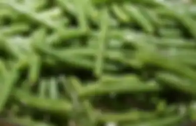 Aneka Tips Kesehatan, Rutin Konsumsi Kacang Panjang Rebus dan Makan Hangat-hangat, Perubahan Signifikan ini Bakal Dialami Tubuhmu