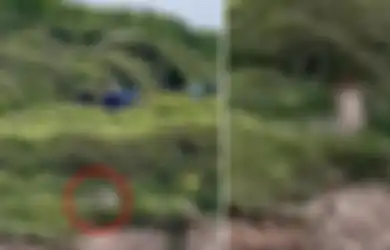 EDAN! Asyik Bercinta di Pinggir Tebing, Pasangan Kekasih Ini Tak Sadar Aksi Mesum Mereka Selama 30 Menit Jadi Tontonan Banyak Orang, Videonya Viral