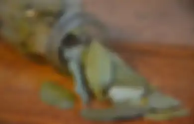 Coba Iseng Bakar Daun Salam di Dalam Ruangan, Nikmati Aromanya yang Bikin Rileks hingga Tingkatkan Kesehatan Jantung