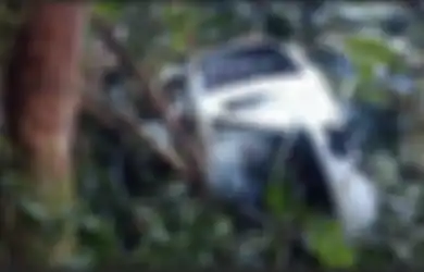 Nahas Jatuh di Hutan Papua, Helikopter Bell Ternyata Bawa Misi Mulia, Angkut Pasien dari Pedalaman, 1 Penumpang Balita yang Hilang Kini Ditemukan Tewas