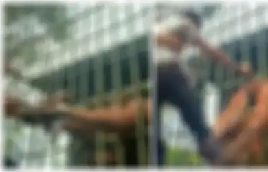 Iseng Demi Konten, Pria di Riau Teriak Histeris saat Ditarik Paksa Orangutan Gegara Nekat Lompat Pagar Pembatas, Kini Ngaku Salah dan Minta Maaf