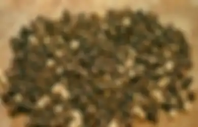Ngapain Buang Uang Buat Sedot Lemak, Mending Pakai Lada Hitam dan Bahan Dapur Ini untuk Hilangkan Perut Buncit, Dijamin Bikin Ketagihan