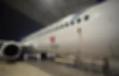 Selamat dari Kebangkrutan di Detik-detik Terakhir, Bisakah Maskapai Pelat Merah Indonesia Garuda Indonesia Bangkit Lagi Setelah Kredit Rp 142 Triliun Ini Dikucurkan ke Mereka?