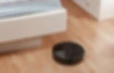 Tak Perlu Beli Pembersih Bulu Hewan Peliharaan atau Perangkap Laba-laba, Coba Manfaatkan Vacuum Cleaner Mulai dari Sekarang!