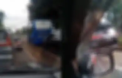 Tanpa Takut Terobos Jalur Busway, Mobil Berplat RFY Ini Hampir Diloloskan Polisi, Gagal Lolos Karena Videonya Viral dan Netizen Marah-marah, Ternyata Cuma Pejabat-pejabat Ini Pemilik Plat RFY