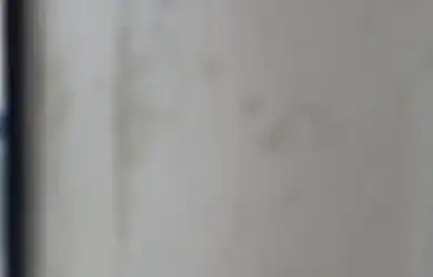 Tak Kelihatan Kotor, Ternyata 3 Area di Rumah Ini Gampang Tumbuh Jamur, Cek Lagi Jangan Sampai Kecolongan!