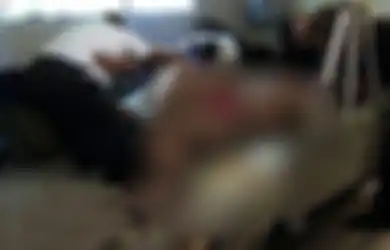 Dulunya Atlet, Pria Ini Kini Susah Beraktivitas karena Bobot Tubuhnya Capai 463 Kg, Hari-hari hanya Rebahan  hingga Tak Mandi Selama 4 Tahun, Ternyata Ini Penyebabnya