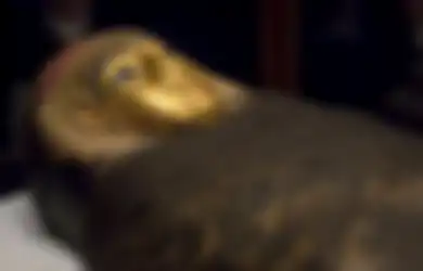 Berusia sekitar 1.500 Tahun, Siapakah Wanita Misterius di Balik Mumi ‘Putri Emas’ yang Ditemukan para Ahli Mesir Kuno dengan Pemakaman Berdekorasi Serba Emas Ini?