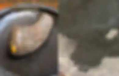 Viral di Tiktok Video Cobek Batu Dipanaskan di Atas Kompor Keluar Hewan-hewan Kecil yang Diduga Belatung, Chef Beberkan Penyebabnya