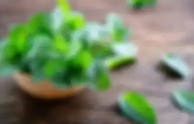 Tips Kesehatan yang Jarang Diketahui, Inilah 7 Manfaat Daun Mint bagi Kesehatan Tubuh