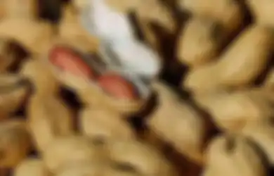 Miliki Kandungan Beta-sitosterol dan Pitosterol, Kacang Tanah Nyatanya Bisa Lindungi Tubuh dari Kanker, Apa Saja Manfaat Lainnya?