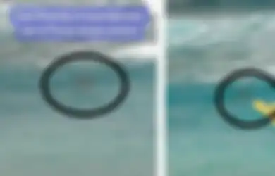 GEGER Penampakan Putri Duyung di Pantai Ambon, Netizen Heboh Bagikan Video Hingga Viral, Terkuak Ini Faktanya