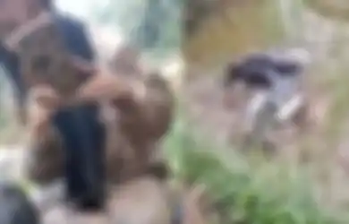 Niat Awal Pengen Jalan-jalan Sama Kekasih, Hal Tak Terduga Malah Terjadi Pada Pasangan Ini, Netizen: Kameramen Tidak Selamat