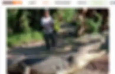Gempar Sampai Media Asing, Siapa Sangka Warga Sulawesi Ini Berhasil Taklukkan Buaya Sepanjang 4 Meter Hanya Bermodalkan Tali, Aksi Nekatnya Bermula dari Hal Ini