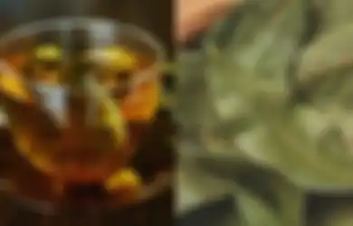 Aneka Tips Kesehatan, Biasa Digunakan sebagai Bumbu Masakan, Siapa Sangka Daun Salam Bisa Jadi Minuman Herbal yang Ampuh Tumbas Beragam Masalah Kesehatan