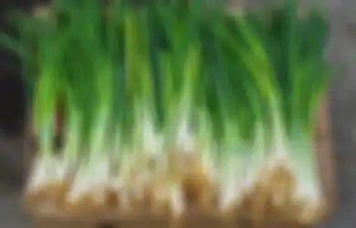 Mulai Sekarang Jangan Pilih-pilih, Daun Bawang yang Biasanya Cuma Jadi Pelengkap Masakan Ini Ternyata Kunci Hidup Sehat Walafiat