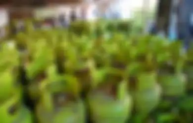 Beli LPG 3 Kg Harus Pake MyPertamina?  Begini Penjelasan Pertamina!