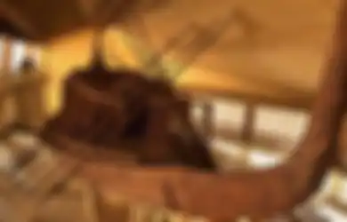 Inilah Kapal-kapal Para Firaun, Sisa-sisa Kapal Ini Terkadang Dibuat untuk Peti Mati, Itulah Sebabnya Peti Mati Terkadang Berbentuk Lengkungan Seperti Perahu