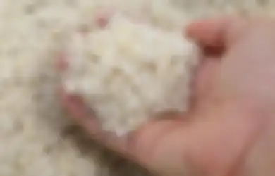 Aneka Tips Harian, Ternyata Menyimpan Beras Agar Bebas Kutu Meski Berbulan-bulan Modalnya Cuma Pakai Cuka Loh!