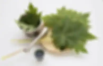 Emak-emak Wajib Coba! Rasa Pahit Daun Pepaya Bisa Diatasi dengan Bahan Ini, Dijamin Sekeluarga Ketagihan